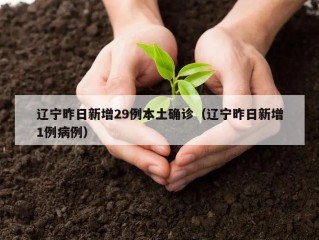 辽宁昨日新增29例本土确诊（辽宁昨日新增1例病例）