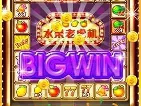777老虎机单机免费绿色版V99.57.16.293安卓版本-好用