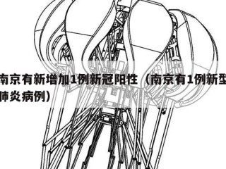 南京有新增加1例新冠阳性（南京有1例新型肺炎病例）