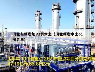 河北有新增加82例本土（河北新增本土51例名单）