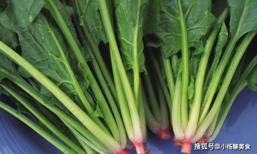菠菜网最新平台网官方版全面解析:2026必备购彩神器推荐 菠菜网最新平台网官方版全面解析:2026必备购彩神器推荐